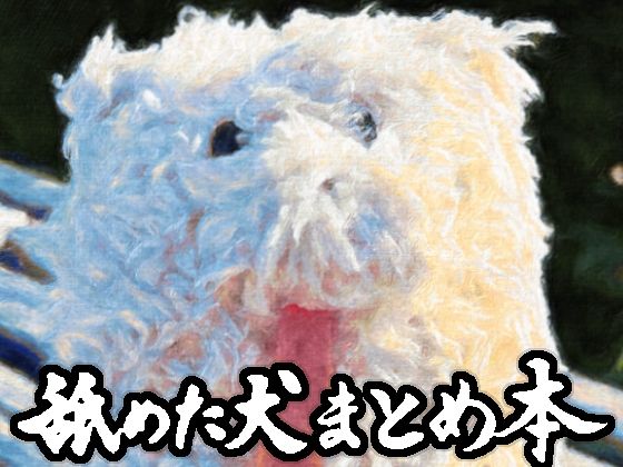 舐めた犬|舐めた犬まとめ本-ギャグ・コメディ